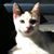 Melinda Martin's profile image