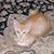Sherry Haste's profile image