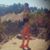Sarah Reavis's profile image