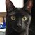 Sunny Hilliard's profile image