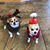 Carol Ann Sahady's profile image
