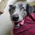 Bradley B. Knott's profile image