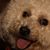 Darlene Levin's profile image