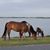 Lisa Francolini Loudermilk's profile image