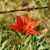 Bobbi-Jo Groeneveld's profile image