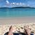 Tracy S. Straw's profile image