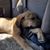 Jen Helbig's profile image