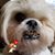Melissa Wilkin Wise's profile image