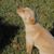 Judi Temby's profile image