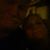 Kim Shetley's profile image