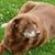 George W Carnrike Jr's profile image