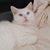 Norma Maly's profile image