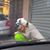Alex Autosoccorso Alex Brunatti's profile image