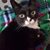 Frank Muchie's profile image