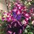 Rebeca Barreiros's profile image