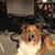 Caroline Carritt's profile image