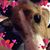 Laura Fedorowicz's profile image