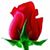 Rosie Doona Baker's profile image