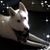 Debbie Brosch's profile image