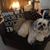 Andrea Victoria Samarkos's profile image