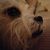 Heather Tait-Ziurinskas's profile image