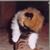 Melissa Srygley Green's profile image