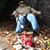 Deborah Stevens Vandam's profile image