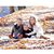 Meghan Pipkin Whittaker's profile image