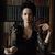 Lauren McGovern Hall's profile image