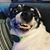 Dawn Machelle's profile image