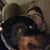 Nick Carvell's profile image