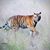 Alberto L. Meilan's profile image