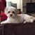 Betsy Young's profile image