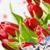 Mika Clark's profile image