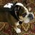 Sara Heck-Roye's profile image