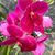 Kathleen Owens's profile image