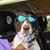Steve Choate Porter's profile image