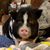 Mindy Clark's profile image