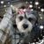 Yvette LeBlanc Wichman's profile image