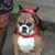 Sue Ferro Kazmierczak's profile image