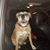 Dorothy Buras's profile image