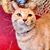 Kevin Wellingtonhay's profile image