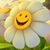 Jackie Hale Taylor's profile image