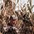 Shawn Wetzel's profile image