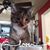 Carol Ginter's profile image