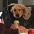 Kent McKelvey's profile image