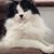 Keith Brummer's profile image
