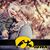 Lindsay Levins Mohr's profile image
