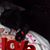 Ann Wiggins's profile image