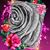Lisa Baker's profile image